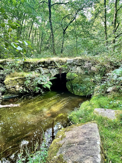 Bec et arche du pont, mousse et fougères ont colonisé les pierres de granite