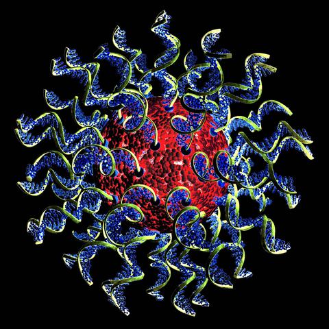 Mirkin laberatory's visual concept of DNA-wrapped nano-particles

phys.org/news/2025-08-crispr-efficiency-triples-lab-dna.html

"CRISPR's efficiency triples in lab tests with DNA-wrapped #'nanoparticles"

"The SNA architecture is recognized by almost all cell types, so cells actively take up the SNAs and rapidly internalize them."

So, an artificial virus, by any other name.