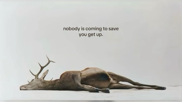 A deer lying on its side against a plain white background, with the words “nobody is coming to save you, get up” written above it, symbolizing resilience and self-empowerment.
