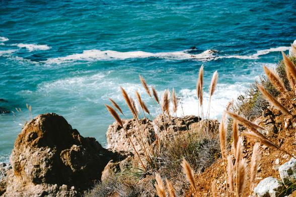 Coastal view with blue water, rocky shore, and tall grass swaying in the breeze.