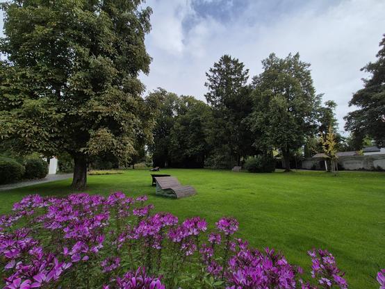 A park in Bad Tölz. Flowers in the foreground, a green meadow with a bench in the middle, a tree in the left and trees in the back