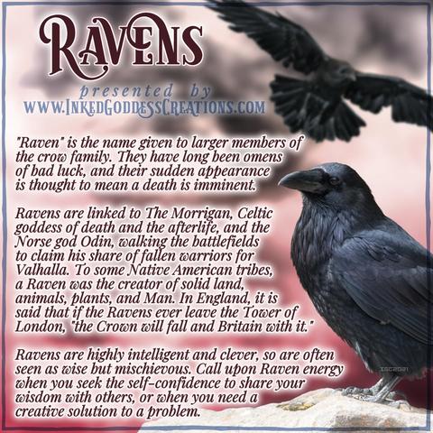 A raven perches on a rock on the right side of the image, peering at the viewer, while an out-of-focus raven flies in the background. The background is mottled red and indistinct. The text outlines some trivia about ravens, their symbolism, and ways you can use their energy in your magickal practice. Presented by Inked Goddess Creations.