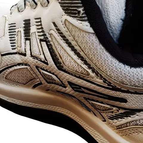 Shoe
