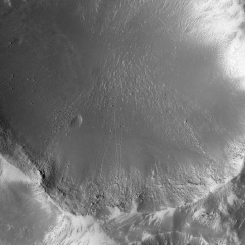 Image from the HiRISE camera on NASA’s Mars Reconnaissance Orbiter showing rockfalls and their trails in the Oxia Planum region. 

Image credit: Aleksandra Sokołowska (Imperial College)/NASA/HiRISE/University of Arizona.