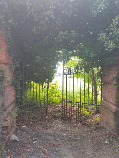 Ianua ferrea vetusta inter pariētes laterīciōs, vinea et frondēs superne pendentibus, ad hortum occultum dūcit. Solis lumen per foliōrum interstitia fulget, semitam umbrā et lūce variatam ostendēns