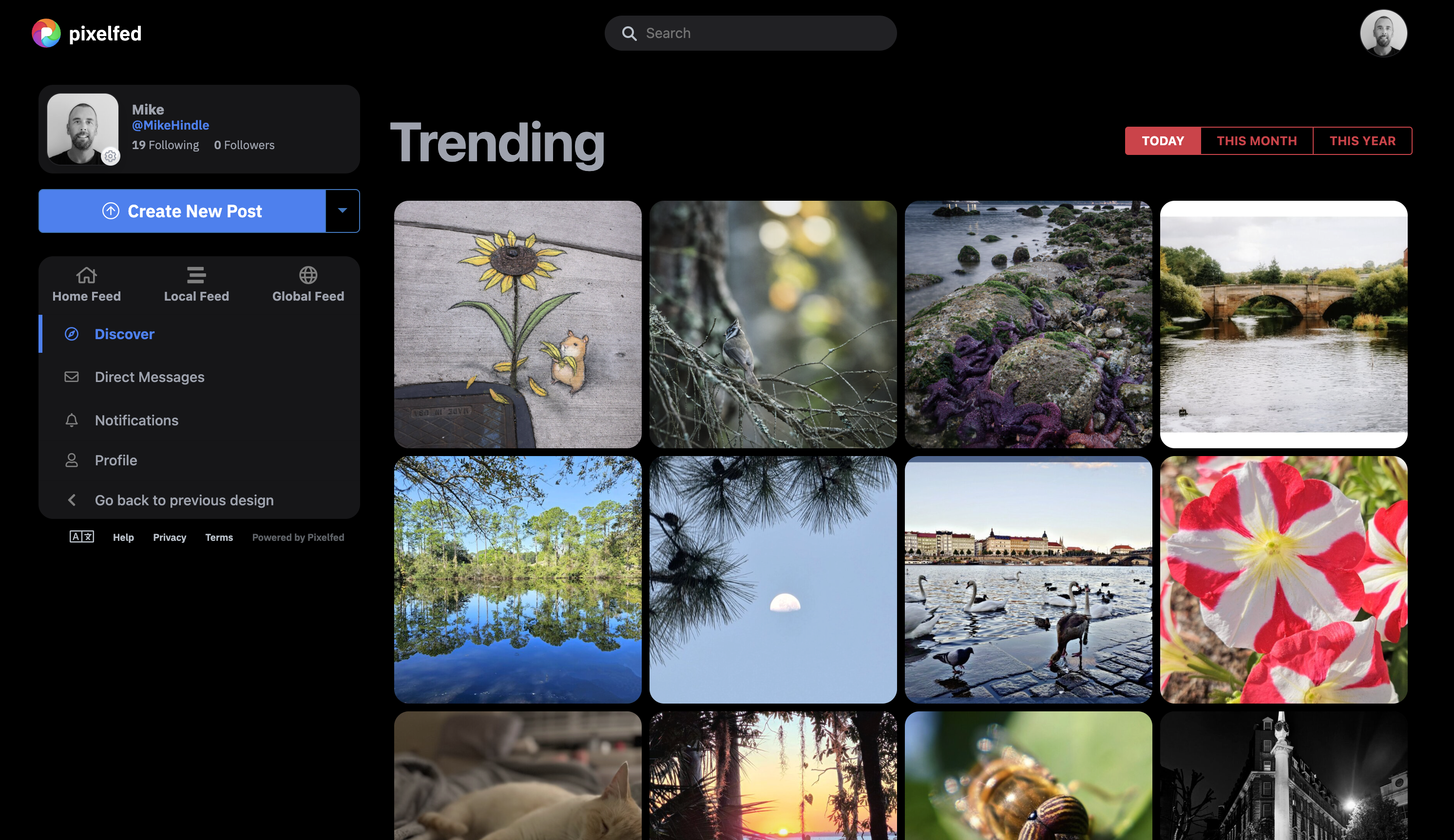 A screenshot of the Pixelfed trending page showing a grid of photos. A screenshot of the Pixelfed trending page showing a grid of photos.