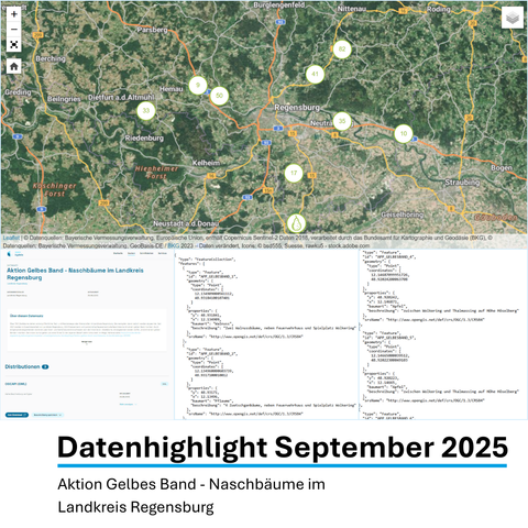 Interaktive Karte, auf der die Naschbäume im Landkreis Regensburg gekennzeichnet sind und Screenshots der Metadaten sowie der Rohdaten.