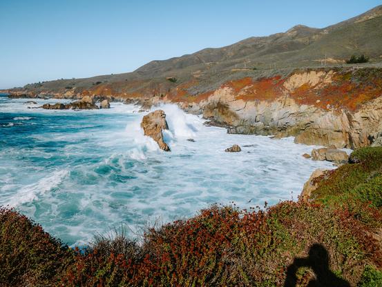 View of a rugged coastline with waves crashing against rocks, colorful vegetation in the foreground, and distant hills.