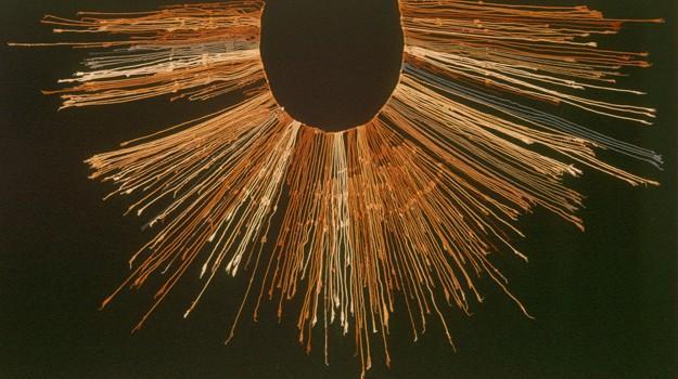 Photo of a typical Inca Quipu, an ingenious device or ledger for storing information. It consists of a large number of strings all attached to a central string. Knots and other features (color, length) encode information.