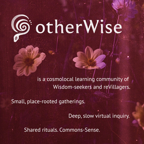 a dark magenta-hued grainy image of flowers and white text reading, "otherWise is a cosmolocal learning community of Wisdom-seekers and reVillagers. Small, place-rooted gatherings. Deep, slow virtual inquiry. Shared rituals. Commons-Sense."