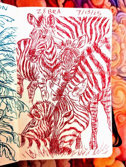 Sketchbook page of 4 drawings of zebras in red pen. The top of the page reads Zebra and 7/13/25. The top left drawing is of a zebra looking at the viewer with part of its body showing. To the right is just the zebra pattern. At the bottom left is a zebra looking backwards and the curve of its back. To the right is a large drawing of a mother and baby zebra. The mother is grazing and the baby has its head rested against her neck and is looking at the viewer.