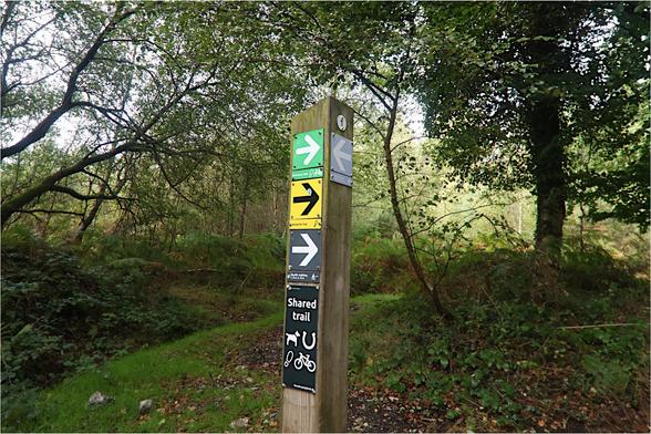 A post directing people in various directions in the forest.  Do notte go to the Castle. (Actually, we just had). 
Post centre, path left, path we are standing on out of sight below us. Trees.  