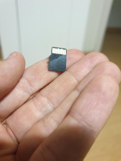 Una tarjeta microSD de color negro con contactos dorados brillantes en uno de sus extremos está apoyada en la palma abierta de una mano humana. La tarjeta es muy pequeña, destacando su tamaño reducido en comparación con los dedos y la palma.