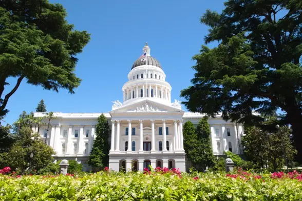 The California State Capitol building in Sacramento, framed by trees and colorful flowers under a clear blue sky.