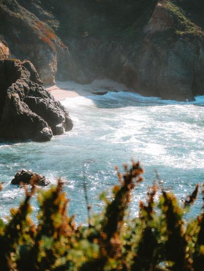 A serene beach scene with gentle waves and rocky outcrops, framed by vibrant green foliage in the foreground.