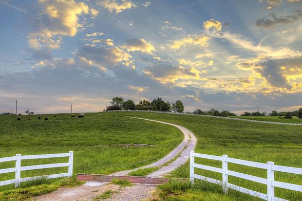 Pastoral Treasure Beyond the Fence

The weathered fence stands as both a boundary and an invitation, guiding the eye toward the green fields beyond. 