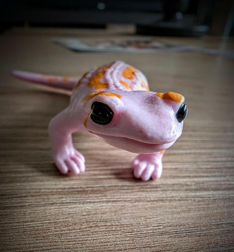 Ein rosa Salamander mit orangenen Flecken von Schleich, von vorne fotografiert.