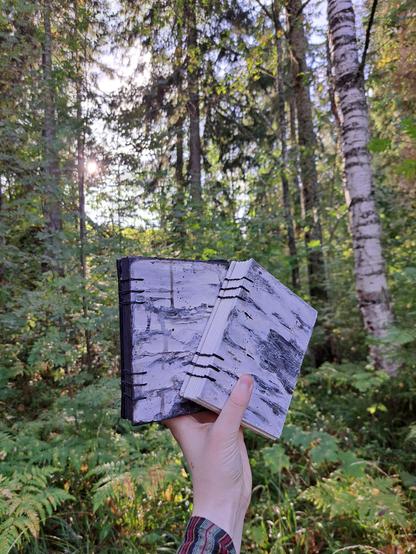 A hand holding two journals with birch bark paintings on the covers. You can see some of the spines of the books that show the other journal having white and other black paper. The books are bound with black string. The picture is taken in a green forest with the sun shining through the leaves in the background. A birch tree trunk is on the right next to the covers.