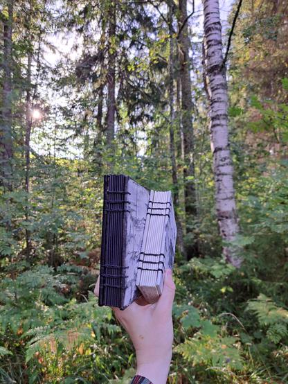 The journals shown with the spines towards the camera. Both journals have black chain stitches in six rows through the spines.