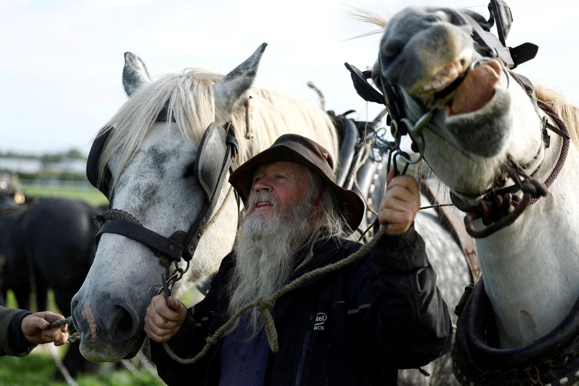 Gerry is holding his two horses, one of whom is sticking the tongue out.