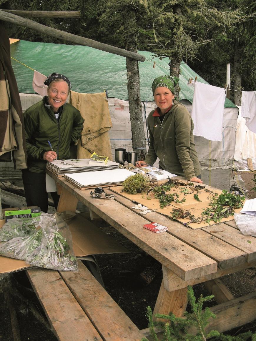 Ethnobiologists (two women) identify culturally significant plants and prepare herbarium specimens at Old Factory, James Bay (northern Quebec).