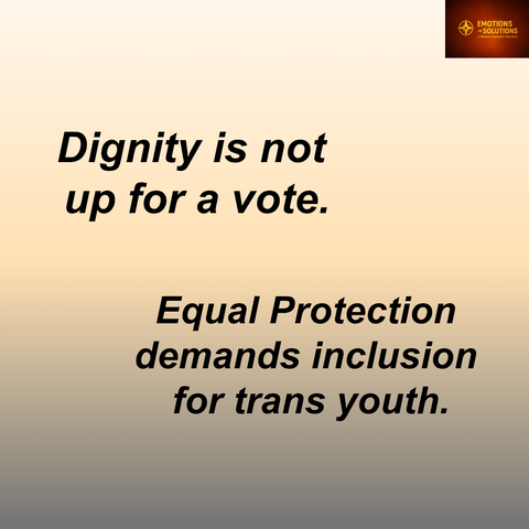 Infographic with dark-to-amber gradient. Bold text: “Dignity is not up for a vote.” Supporting text: “Equal Protection demands inclusion for trans youth.” Minimalist design with clean type.