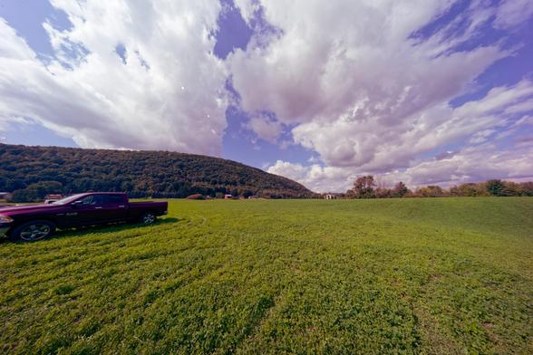 Wide angle photo of a big field with a carpet for short green alfalfa,  there is a pickup truck that looks tiny to the far left,  the horizon is near the center,  to the left there is hillside covered with trees,  to the right a patchy hedgerow,  above a dramatic sky filled with large cumulus clouds.  