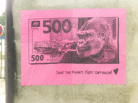 500€, Gorille