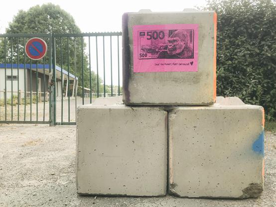 béton, 500€, Gorille