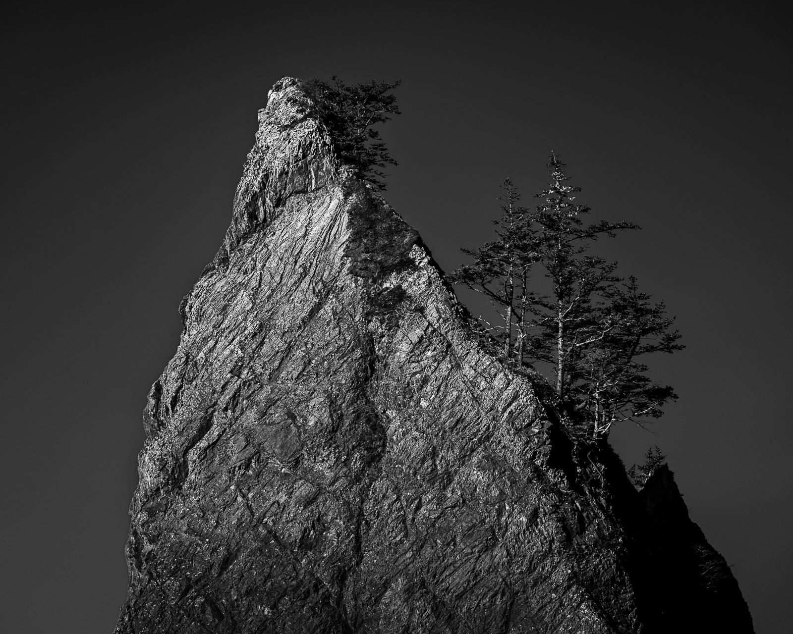 This black-and-white photograph captures the rugged elegance of a towering sea stack along the winter coastline of Rialto Beach, Olympic National Park, Washington. The stark contrast highlights the resilience of trees clinging to the rocky pinnacle, embodying nature's tenacity and grace. This black-and-white photograph captures the rugged elegance of a towering sea stack along the winter coastline of Rialto Beach, Olympic National Park, Washington. The stark contrast highlights the resilience of trees clinging to the rocky pinnacle, embodying nature's tenacity and grace.