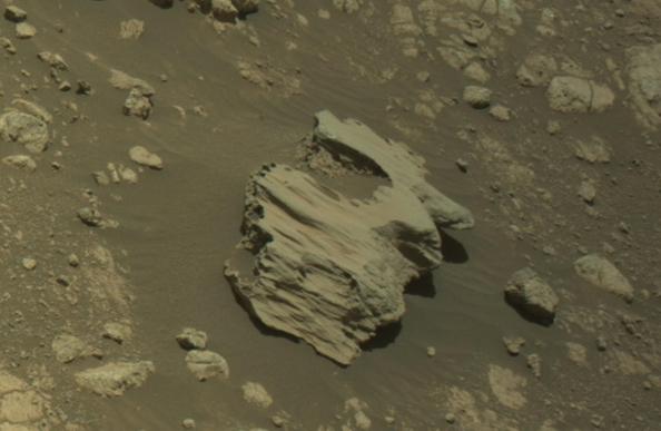 An ochre toned image capturing a Martian rock