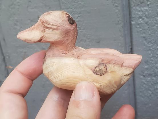 little carved duck, still without a lot of detail but with a lot of pretty sanded woodgrain