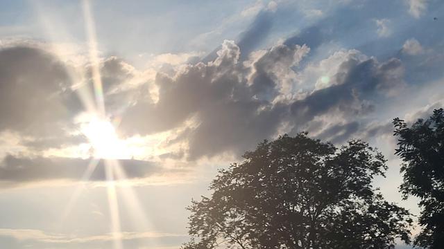 A lion and with animals cloud