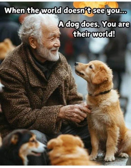 When the world doesn't see you...
A dog does. You are their world!
An old man surrounded by puppies.