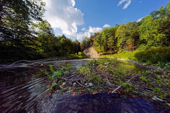 I'm standing in the middle of a creek and looking downstream towards an exposed bluff covered with trees on the bank to my right (your right) but immediately in front of me is a mess of sticks with green leaves still on them where beavers have been piling them up to make a dam, above it all a blue sky with a big cloud on the left side.