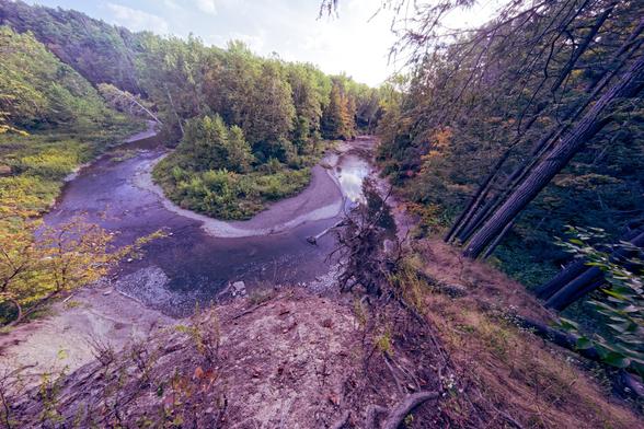 Looking down from a cliff there is a bend in a creek in front of me with a finger of forest sticking into the middle,  on the right the stem of tall trees quite close,  a fallen tree can be seen to the right of the bend,  it's really small but a beaver dam can be seen to the left,  the sky is badly blown out but you can't have everything