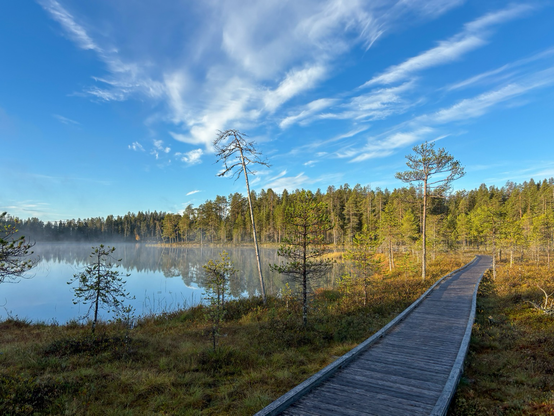 Holzbohlenpfad am See ĂŒber dem Nebel aufsteigt