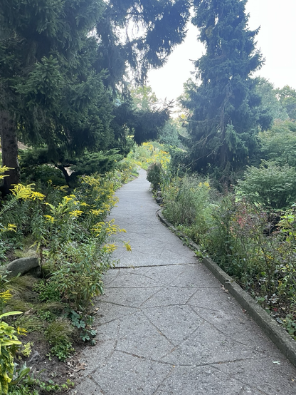 A path on the slope
