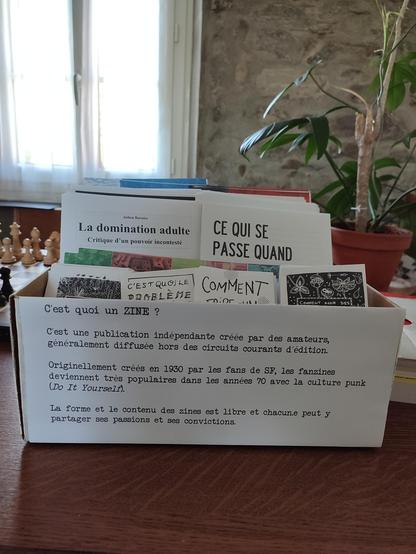 Boîte à fanzines