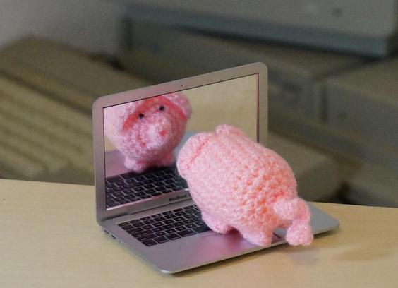 Ein haekelschwein betrachtet sich in einem tragbaren Computer.