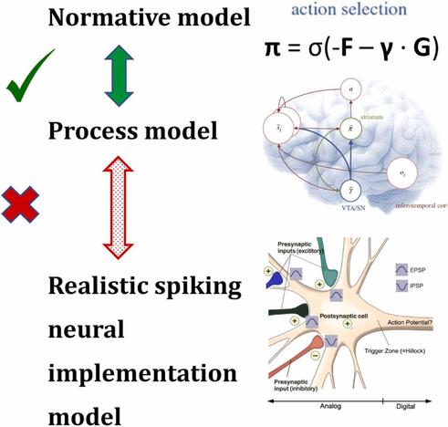 Conscious active inference I: A quantum model naturally implements the path integral needed for real-time planning and control. Computational and Structural Biotechnology Journal, DOI: https://doi.org/10.1016/j.csbj.2025.09.017
