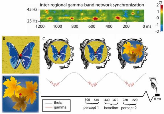 Conscious active inference II: Quantum orchestrated objective reduction among intraneuronal microtubules naturally accounts for discrete perceptual cycles. Computational and Structural Biotechnology Journal, DOI: https://doi.org/10.1016/j.csbj.2025.09.016
