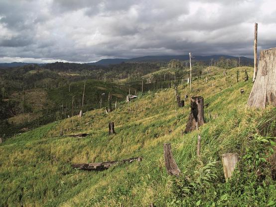 A totally deforested hill side.