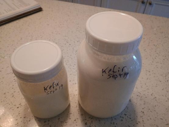 Two jars full of kefir beverage marked with today's date
