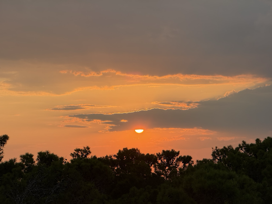 Orange sun, colorful clouds, dark tree line. 