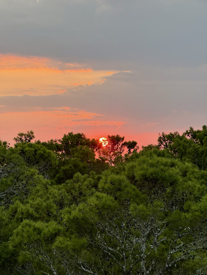 Orange sun, colorful clouds, dark tree line. 