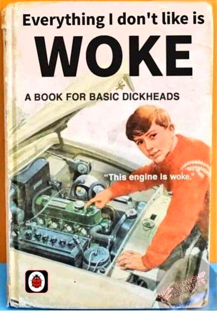 A Ladybird book titled “Everything I don't like is
WOKE

A BOOK FOR BASIC DICKHEADS”

A man points at a car engine beneath a car bonnet: "This engine is woke."