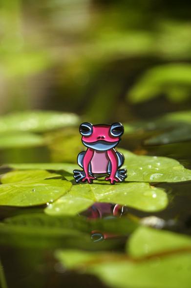 an enamel pin of a frog in bi colours sitting on an arrowhead leaf