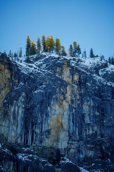 A rocky cliff with evergreen trees on top, contrasting against a clear blue sky, highlighting the natural beauty.
