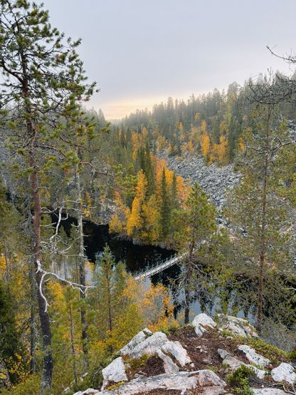 HĂ€ngebrĂŒcke ĂŒber einen Canyon